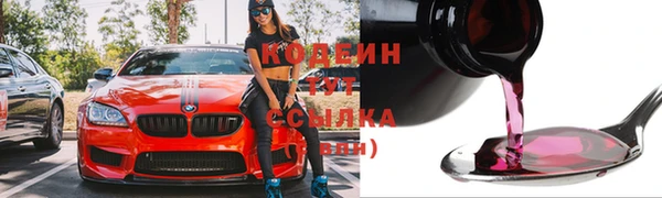 дживик Няндома