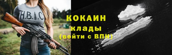 мдпв Новодвинск