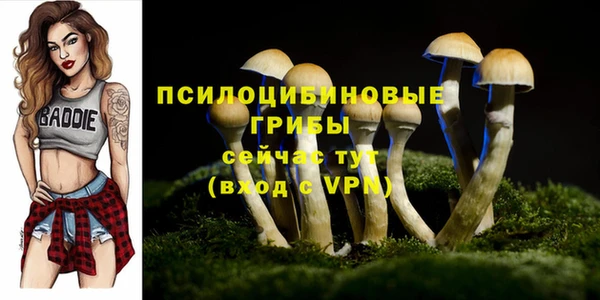MDMA Premium VHQ Новокубанск