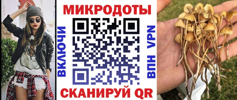Псилоцибиновые грибы Psilocybe  Купить  Коломна 